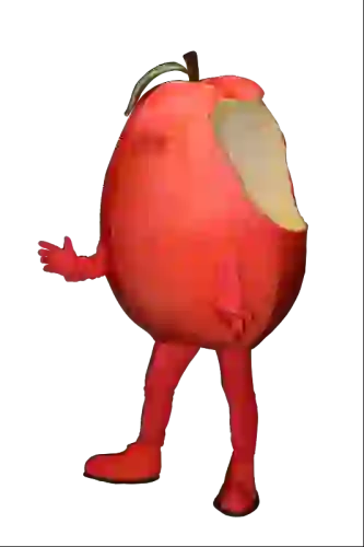 Kostiumy reklamowe 1
