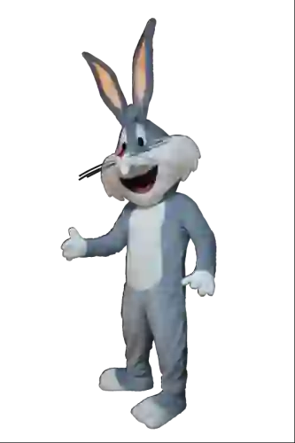 Kostiumy reklamowe 1