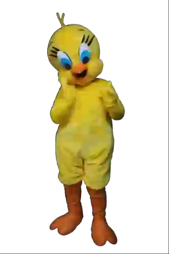 Kostiumy reklamowe 33