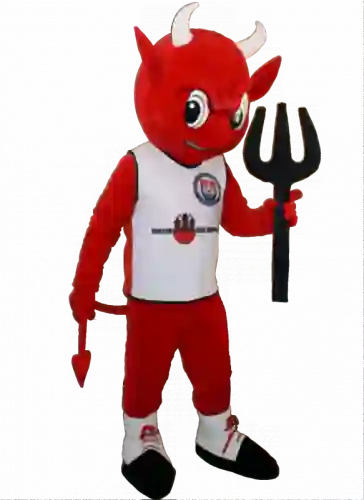 Kostiumy reklamowe 15