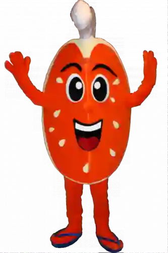 Kostiumy reklamowe 3