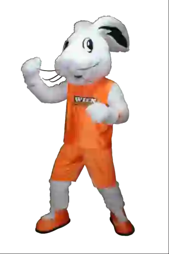 Kostiumy reklamowe 4