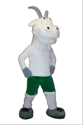 Kostiumy reklamowe 13