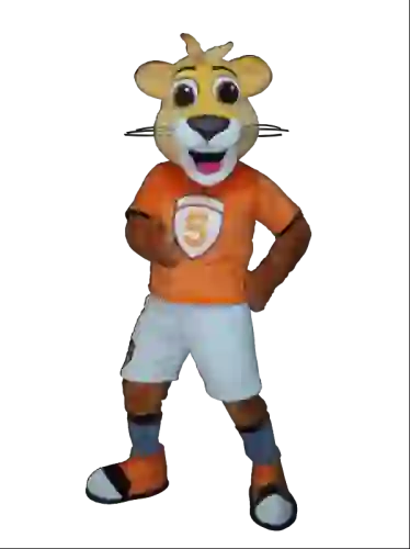 Kostiumy reklamowe 17