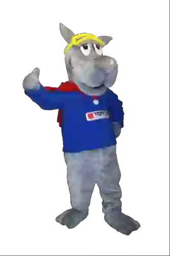 Kostiumy reklamowe 23