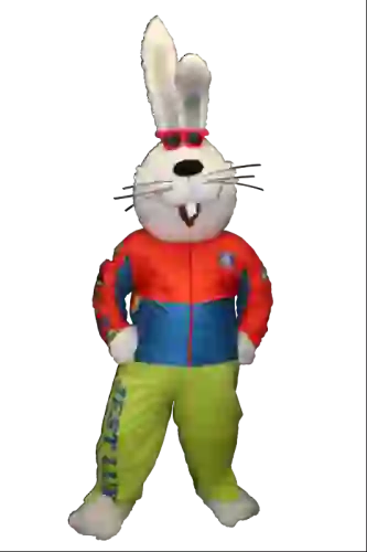 Kostiumy reklamowe 29