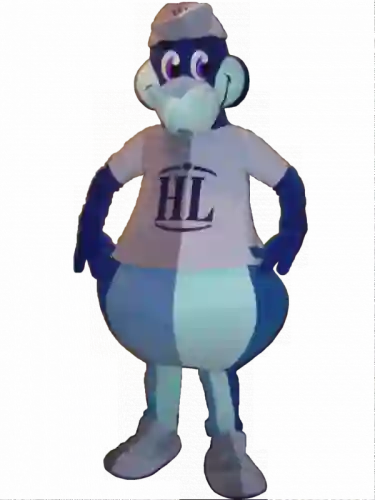 Kostiumy reklamowe 34