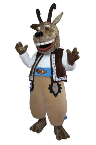 Kostiumy reklamowe 54