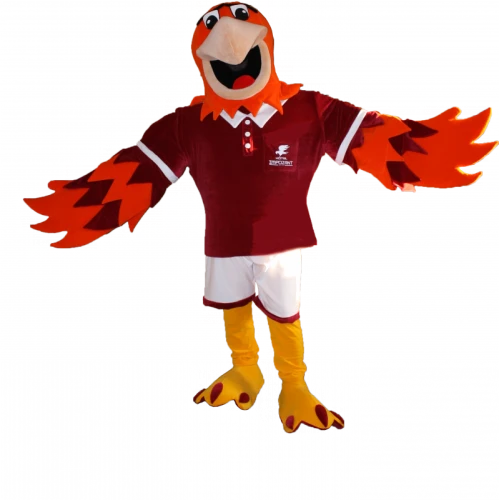 Kostiumy reklamowe 67