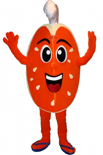 Kostiumy reklamowe 3