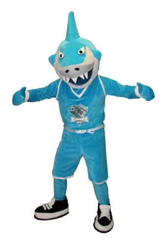 Kostiumy reklamowe 9