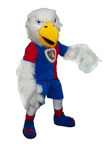 Kostiumy reklamowe 12