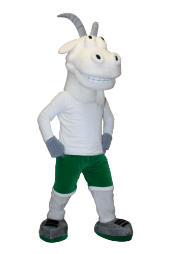 Kostiumy reklamowe 13